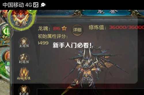 新手入门必看！