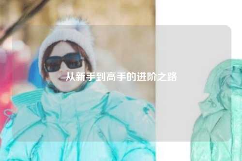 从新手到高手的进阶之路